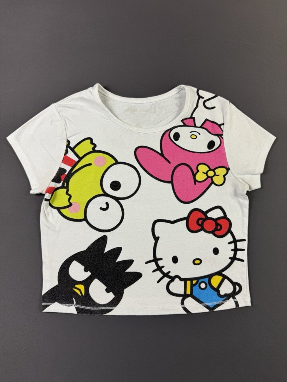 Rare Vintage Y2K Sanrio Hello Kitty Kerokeropi Cute Cartoon Art Womens Tee Shirt